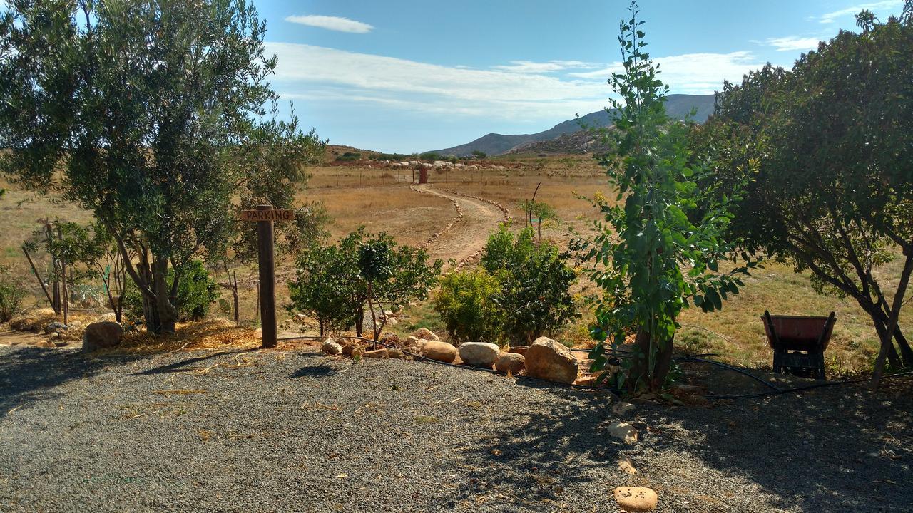 Vinofilia Wine Country Inn Valle de Guadalupe Eksteriør bilde